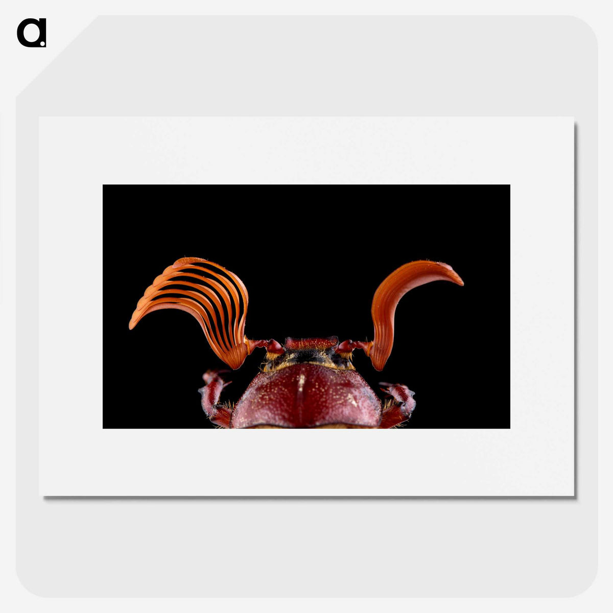 2-73_Insects-Unlocked-Project_picture