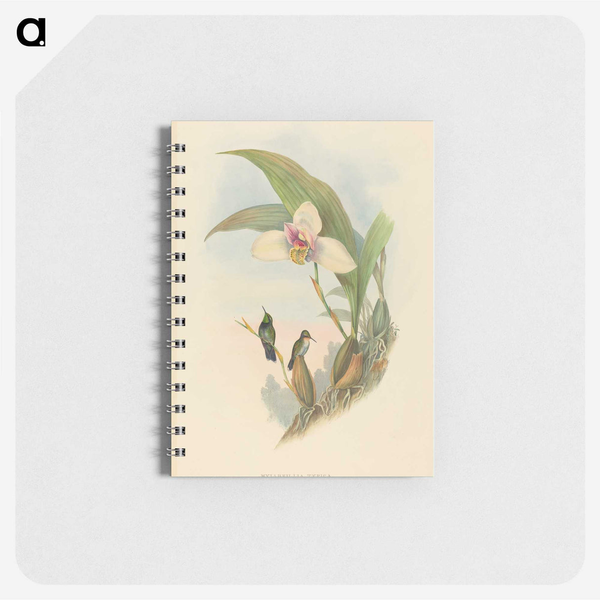 2-73_John-Gould_memo