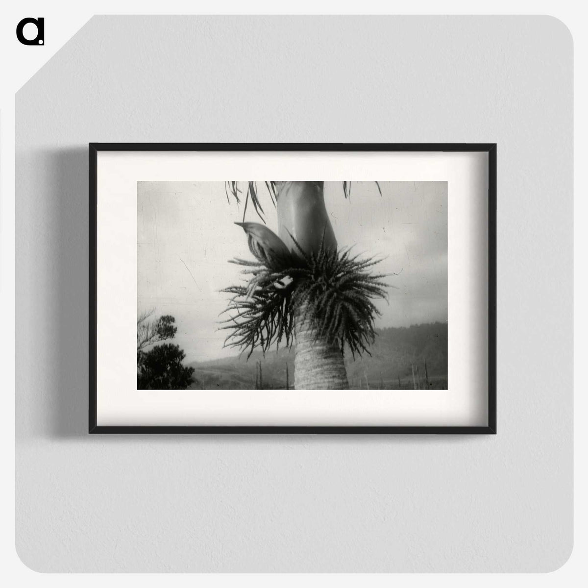 2-73_Leslie-Adkin_blk