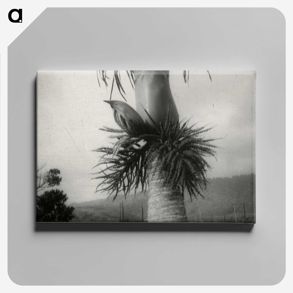 2-73_Leslie-Adkin_canvas