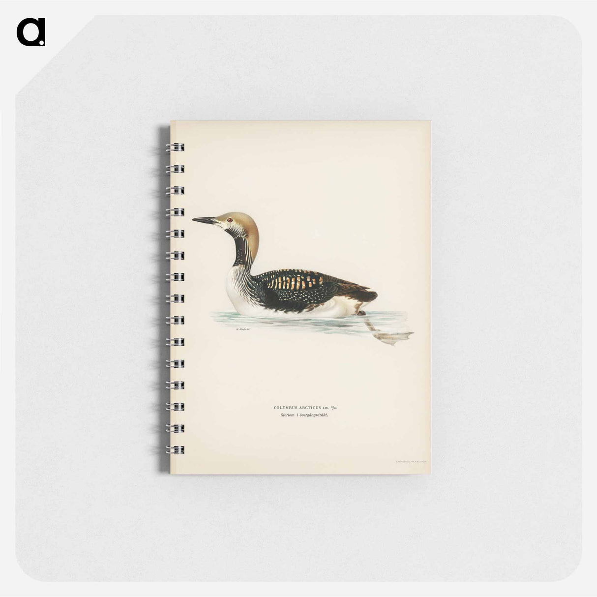 アートメモ帳-Black-throated Loon
- スヴェンスカ フォグラル Memo.