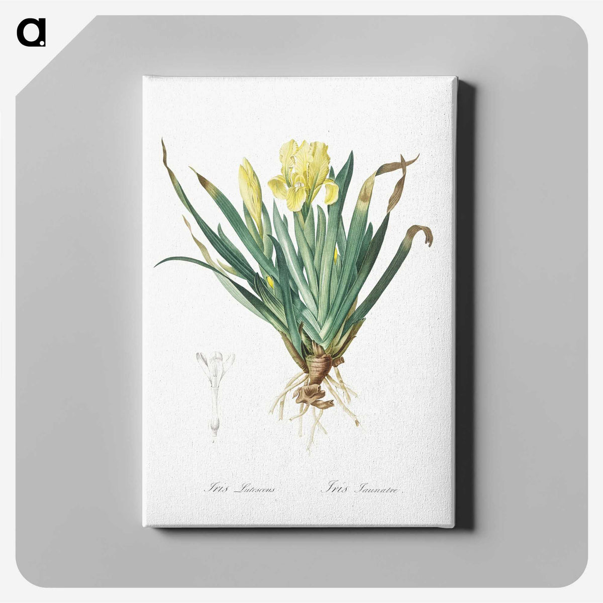 2-73_The-Lilies_canvas