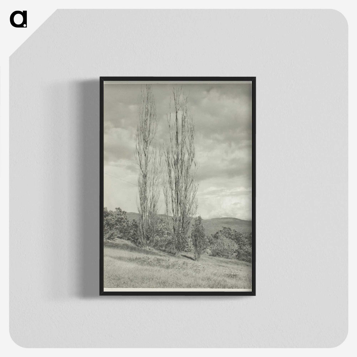 2-74_Alfred-Stieglitz_blk-crop