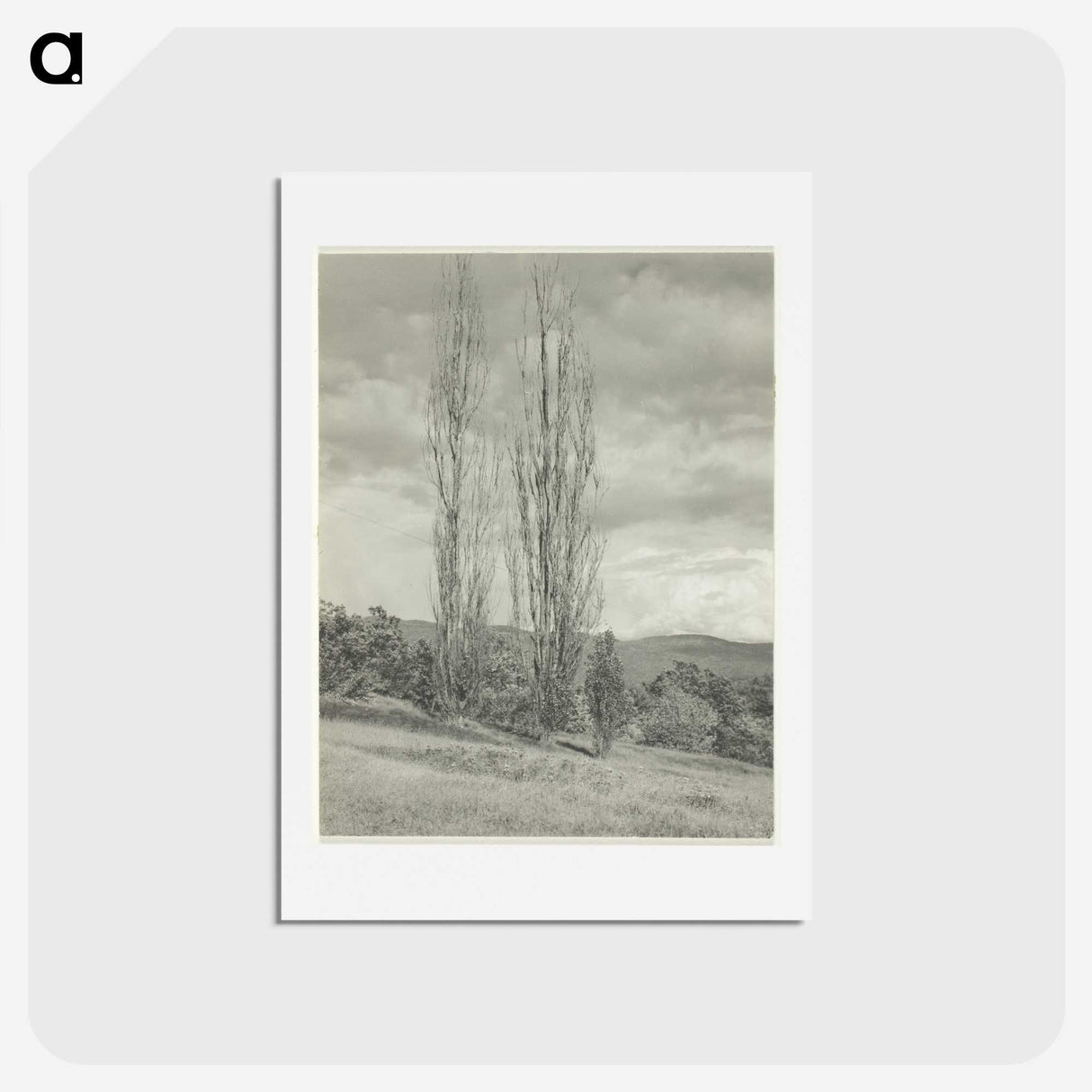 2-74_Alfred-Stieglitz_hagaki