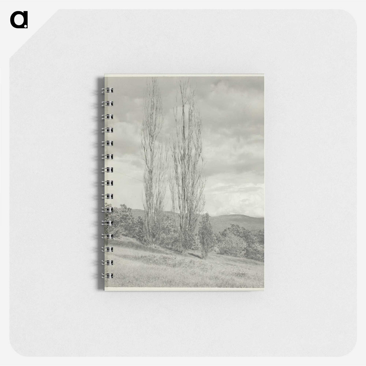 2-74_Alfred-Stieglitz_memo