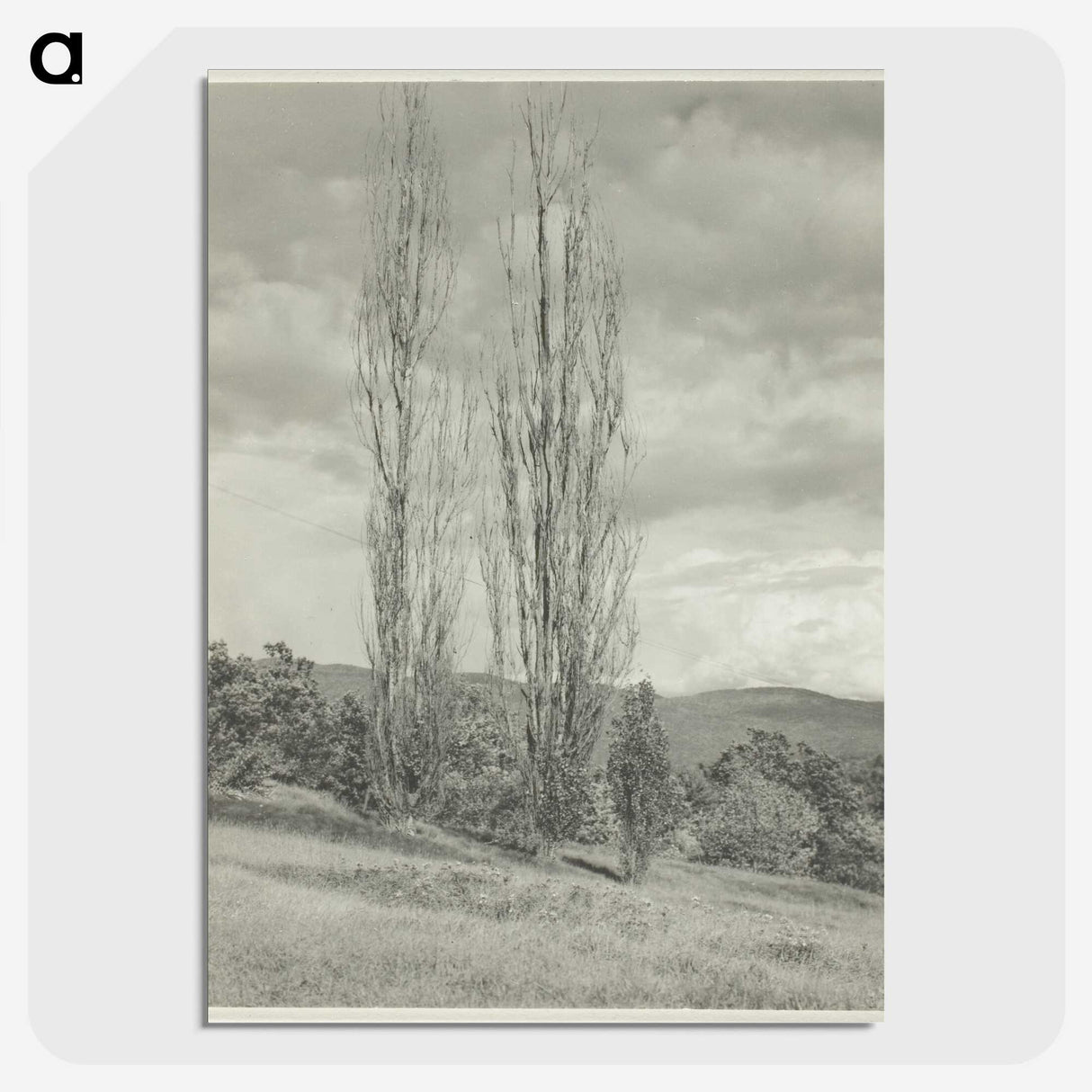 2-74_Alfred-Stieglitz_picture-crop