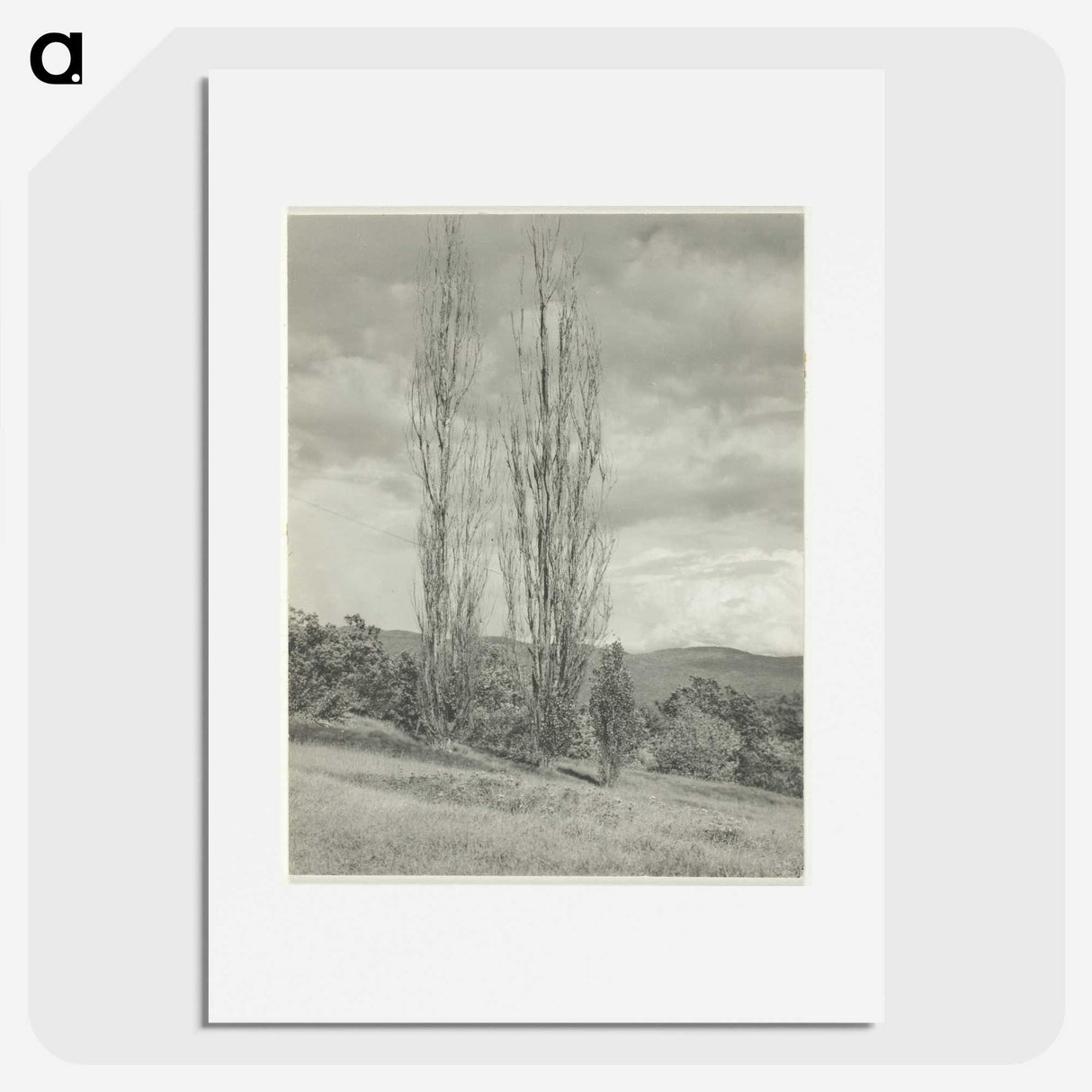 2-74_Alfred-Stieglitz_picture