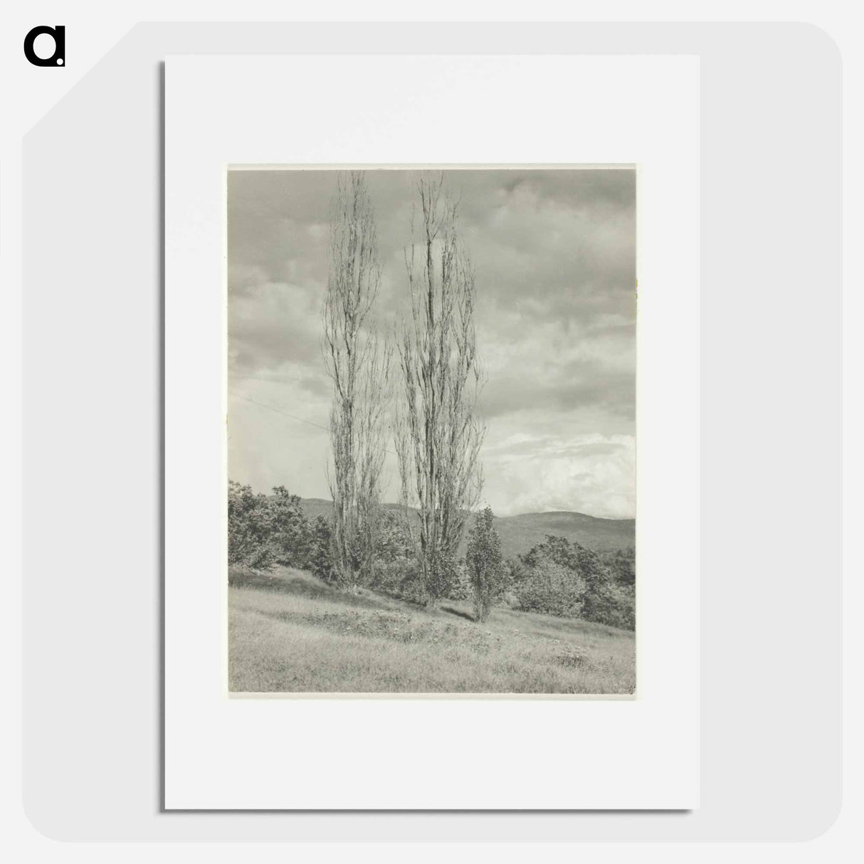Poplars—Lake George - アルフレッド スティーグリッツ Poster.
