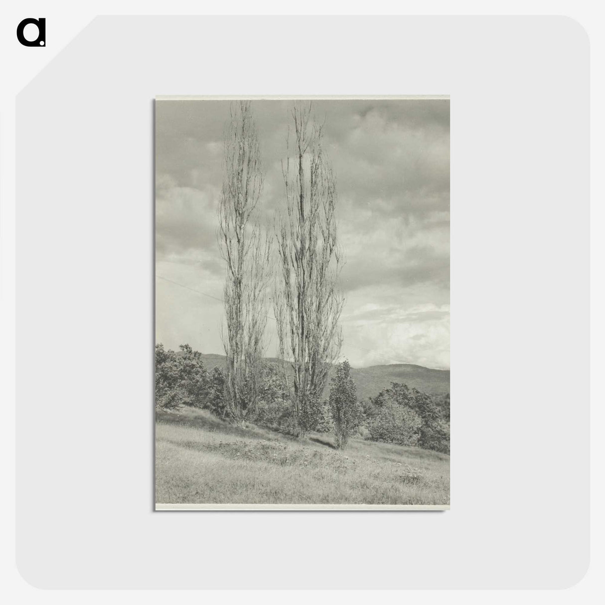 2-74_Alfred-Stieglitz_postcard