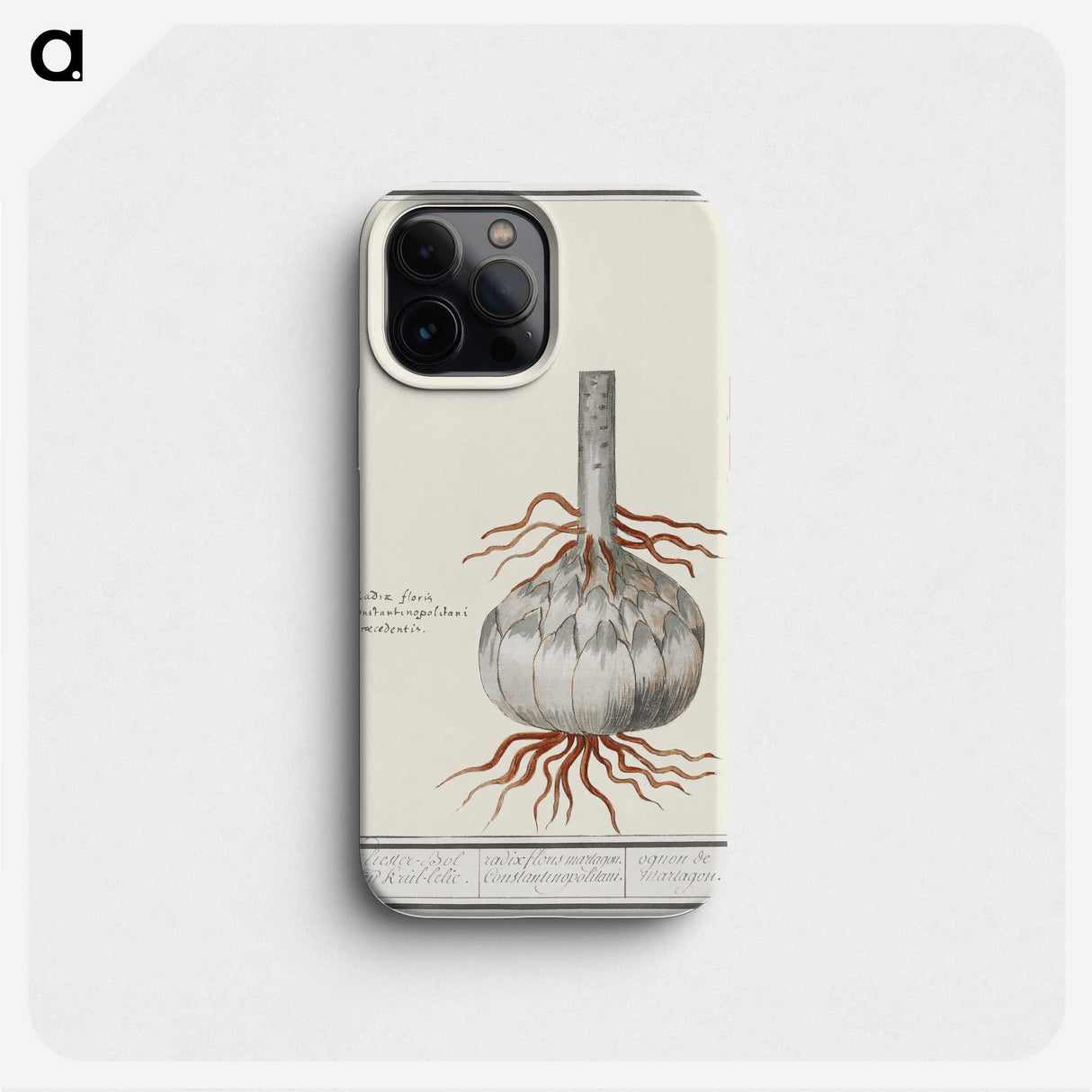 2-74_Anselmus-Boetius-de-Boodt_phone