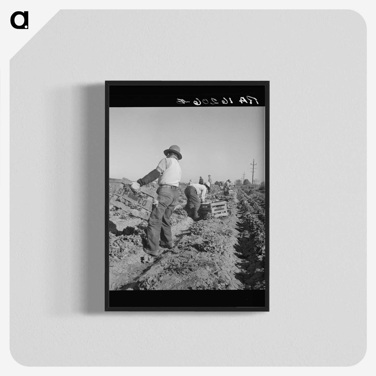 2-74_Dorothea-Lange_blk-crop