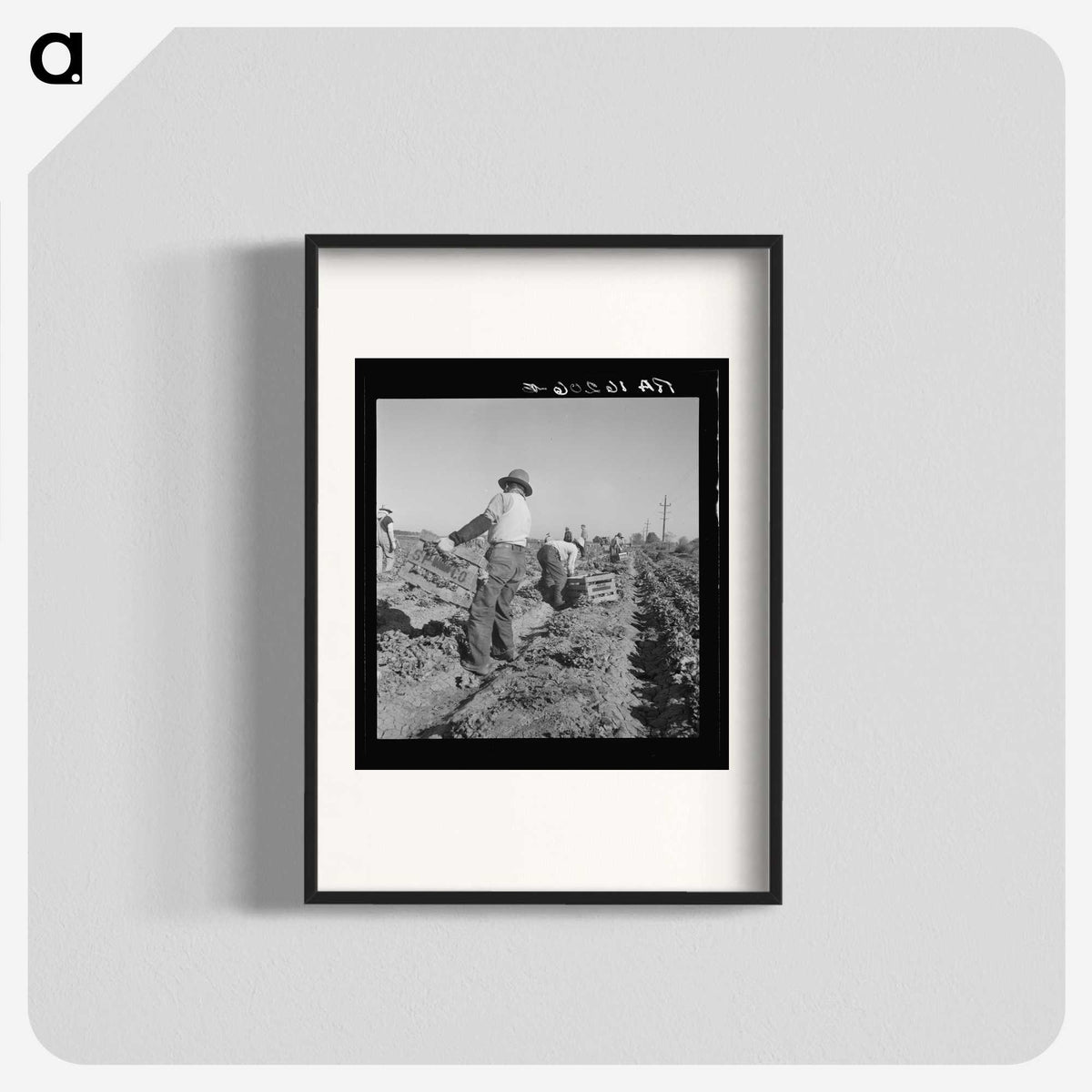 2-74_Dorothea-Lange_blk