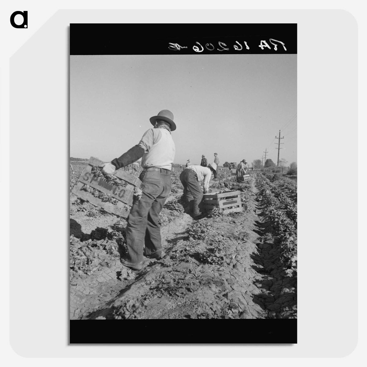 2-74_Dorothea-Lange_picture-crop