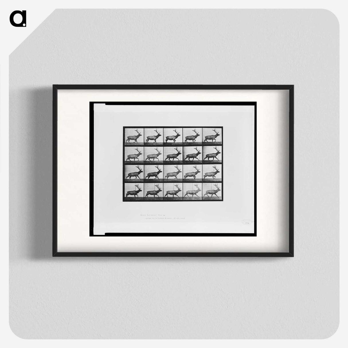 2-74_Eadweard-Muybridge_blk