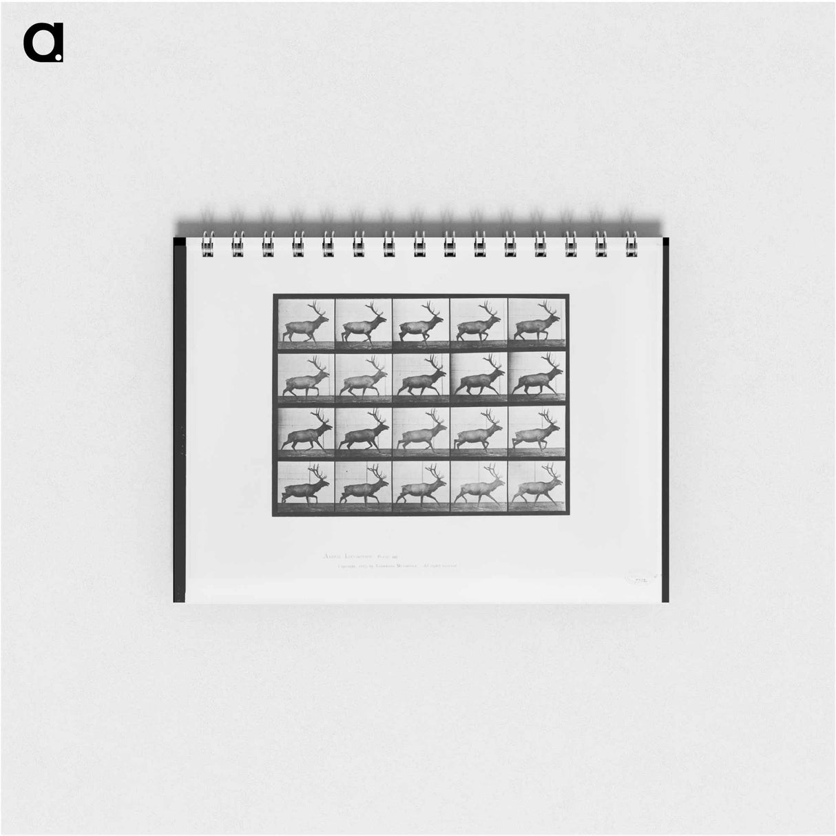 アートメモ帳-Animal Locomotion
- エドワード マイブリッジ Memo.