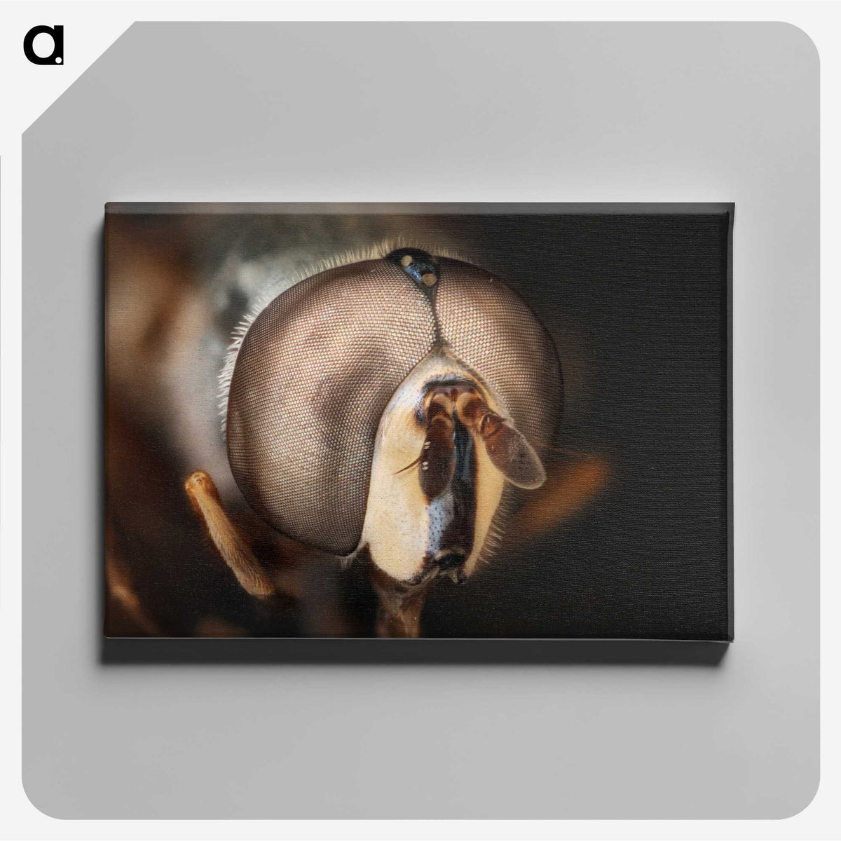 2-74_Insects-Unlocked-Project_canvas