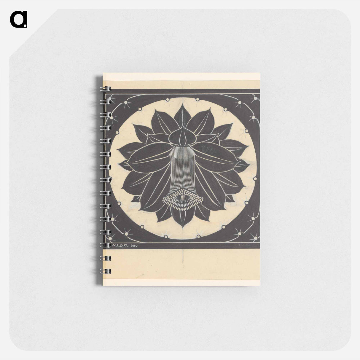 Cactusbloem - ユリー デ フラーハ Memo.