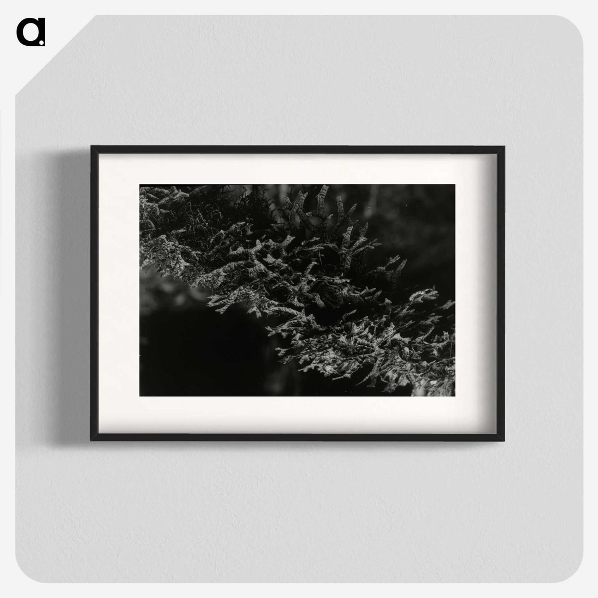 2-74_Leslie-Adkin_blk