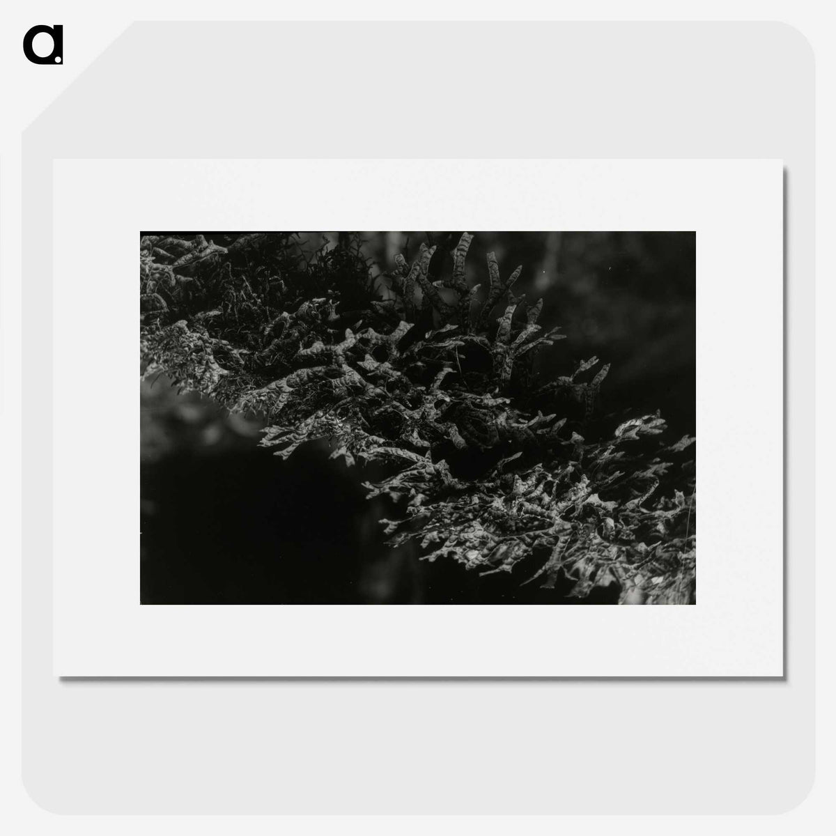 2-74_Leslie-Adkin_picture