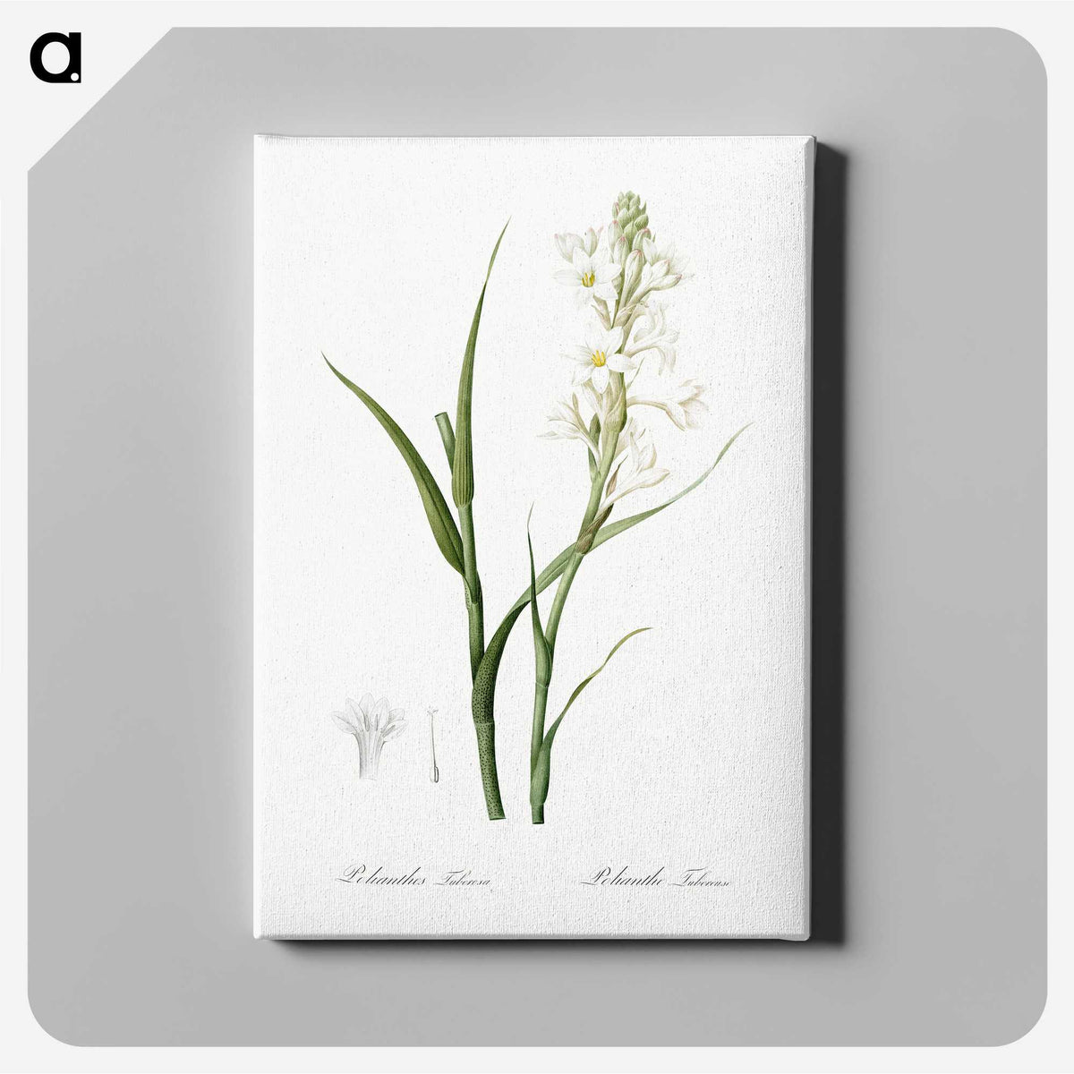 2-74_The-Lilies_canvas