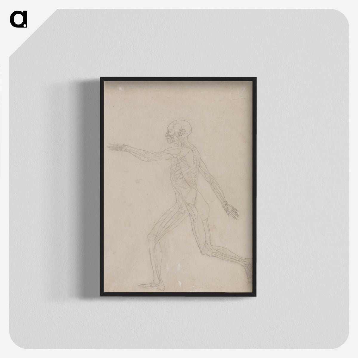 2-75_George-Stubbs_blk-crop