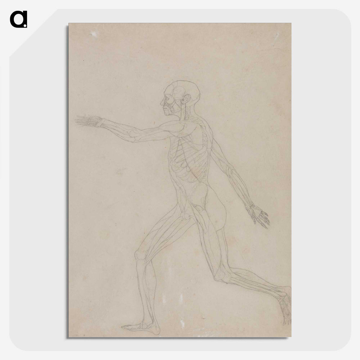 2-75_George-Stubbs_picture-crop