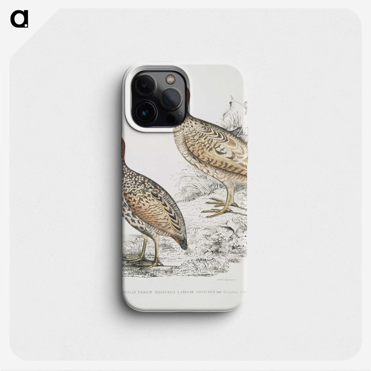 2-75_Indian-Zoology_phone