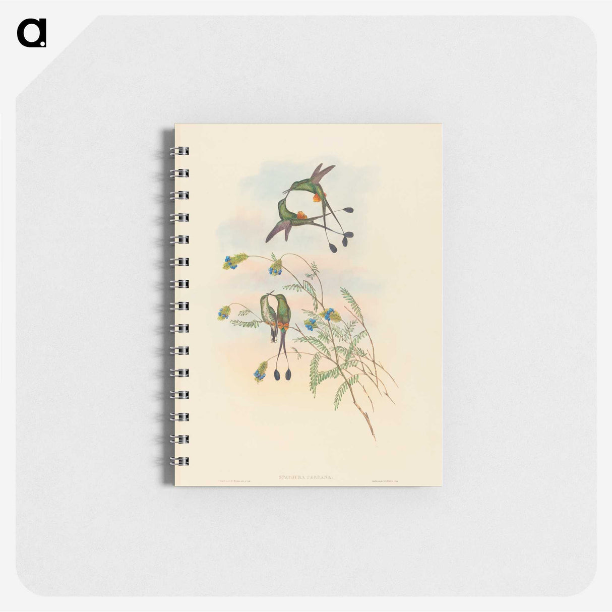 2-75_John-Gould_memo
