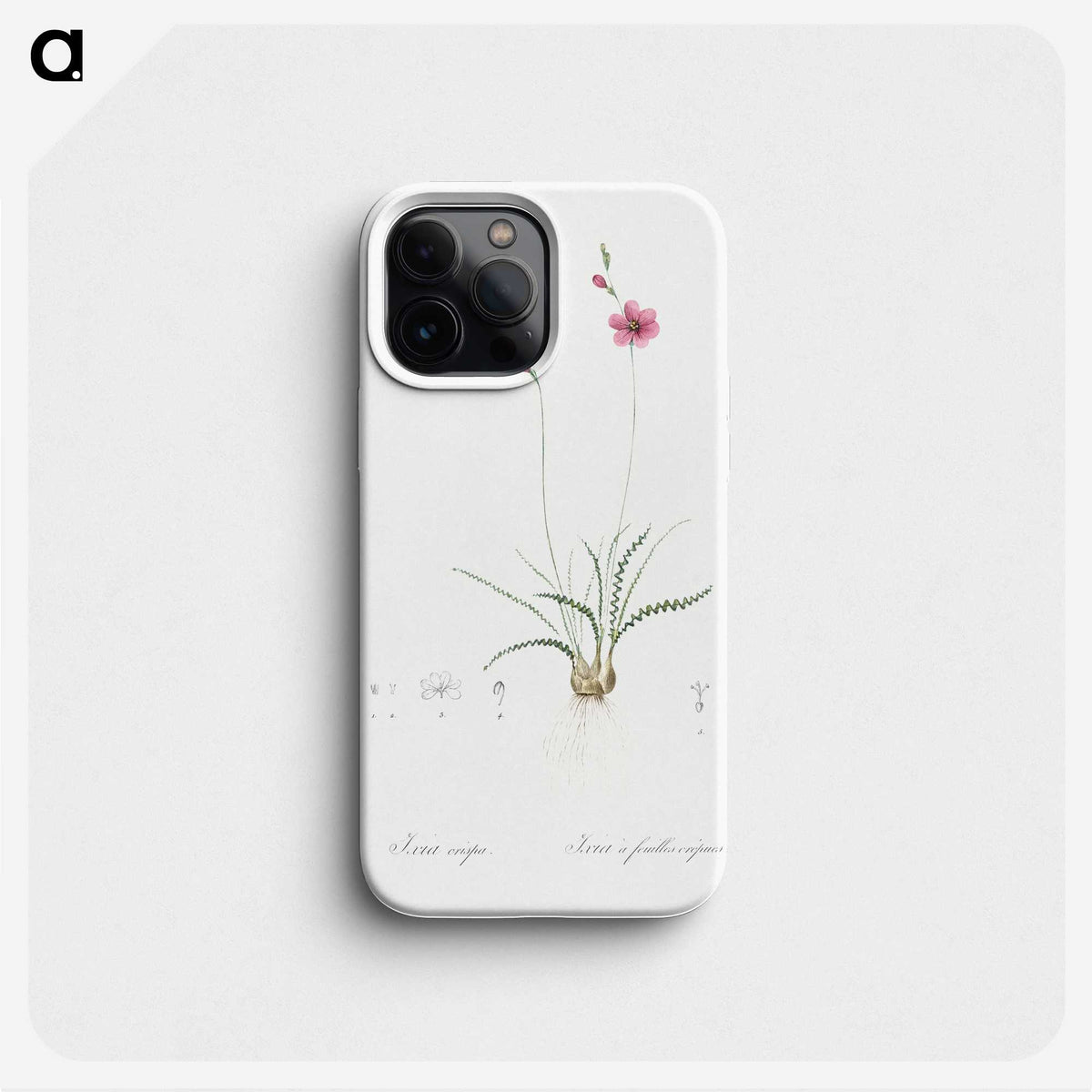 2-75_The-Lilies_phone