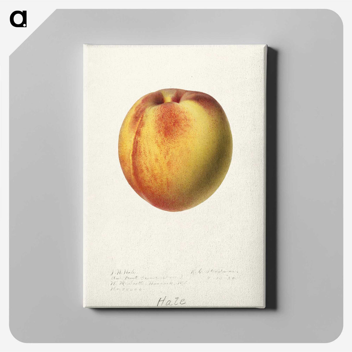 2-75_USDA-Watercolor-Fruit-Painting-Collection_canvas