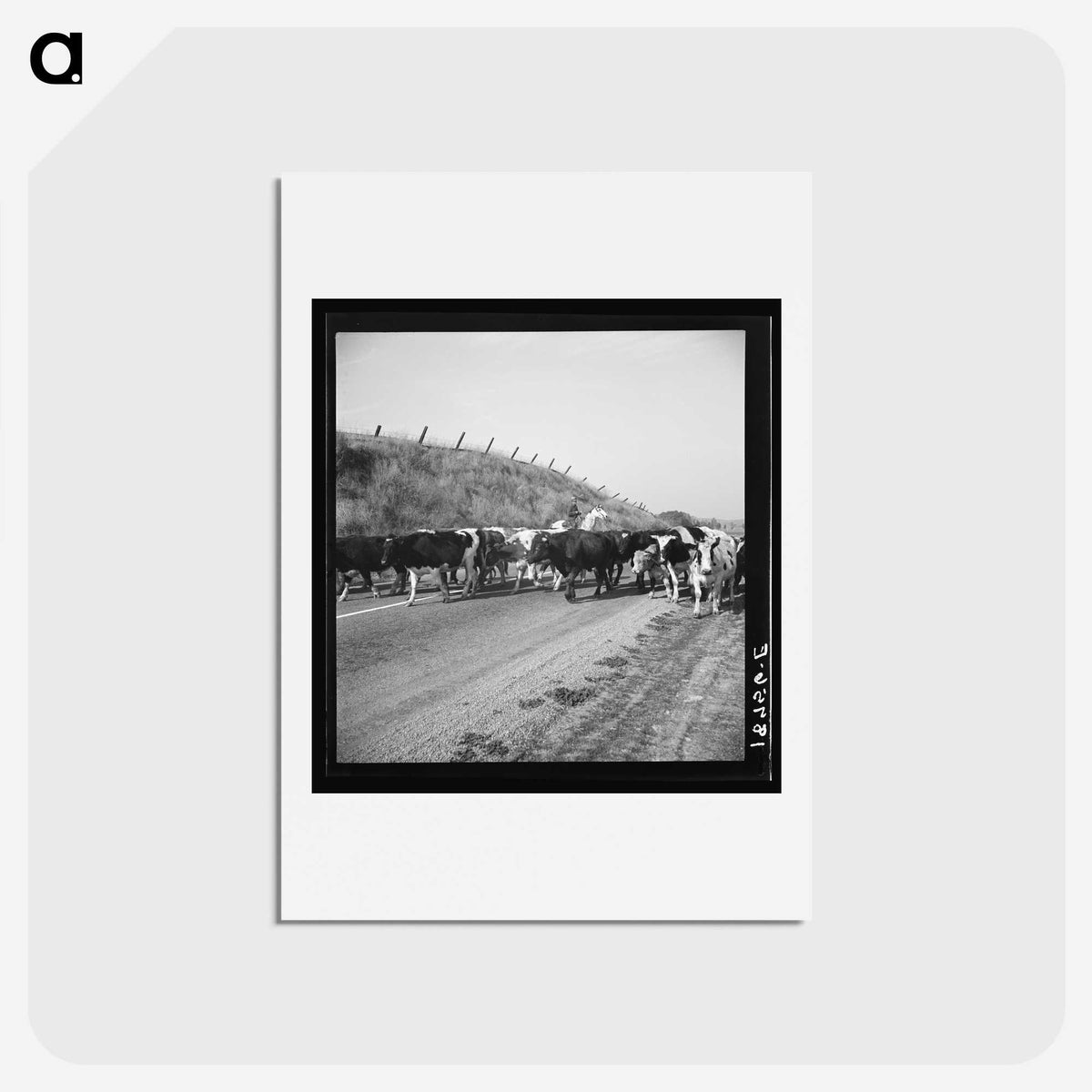 2-76_Dorothea-Lange_hagaki