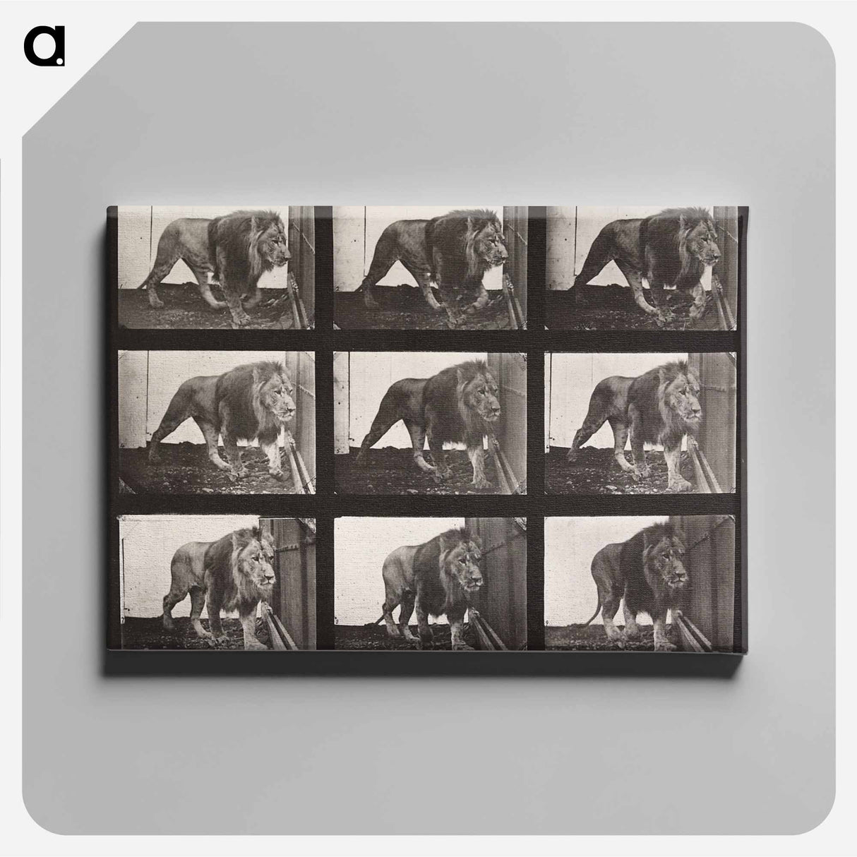 アートパネル-Animal Locomotion Plate 721
- エドワード マイブリッジ Canvas.