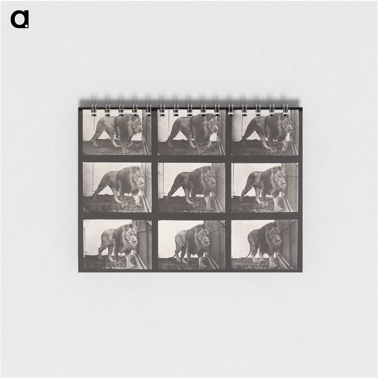 2-76_Eadweard-Muybridge_memo