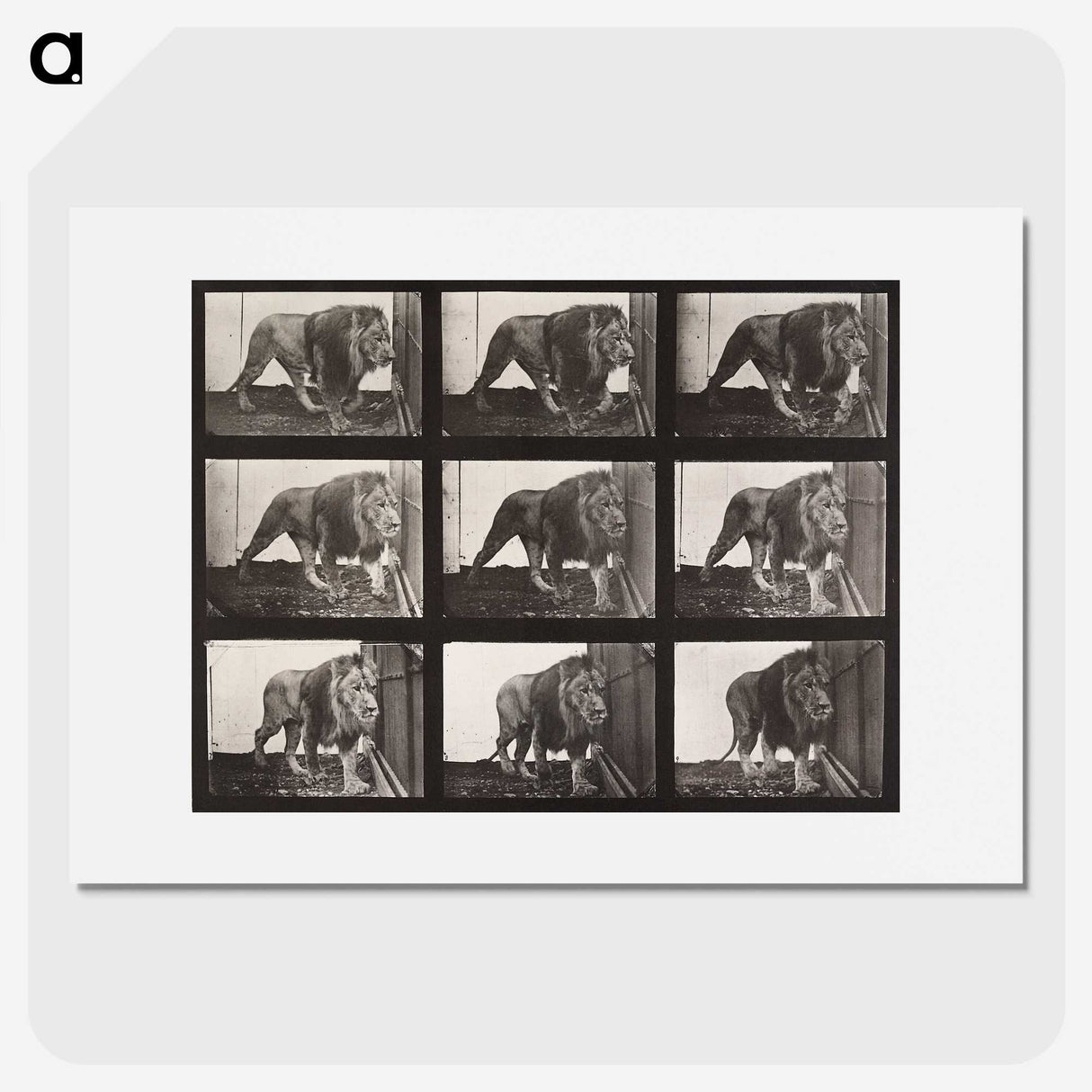 2-76_Eadweard-Muybridge_picture