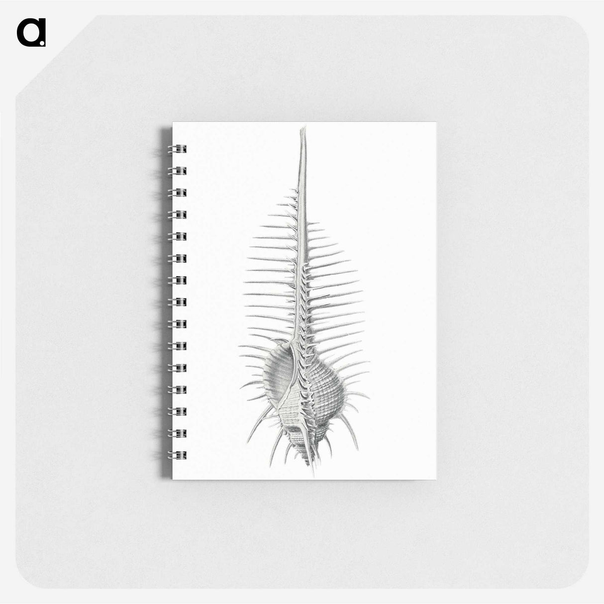 2-76_Ernst-Haeckel_memo