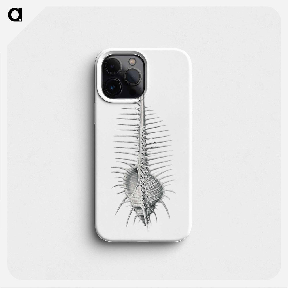 Vintage shell marine life illustration - エルンスト ヘッケル Phone Case.