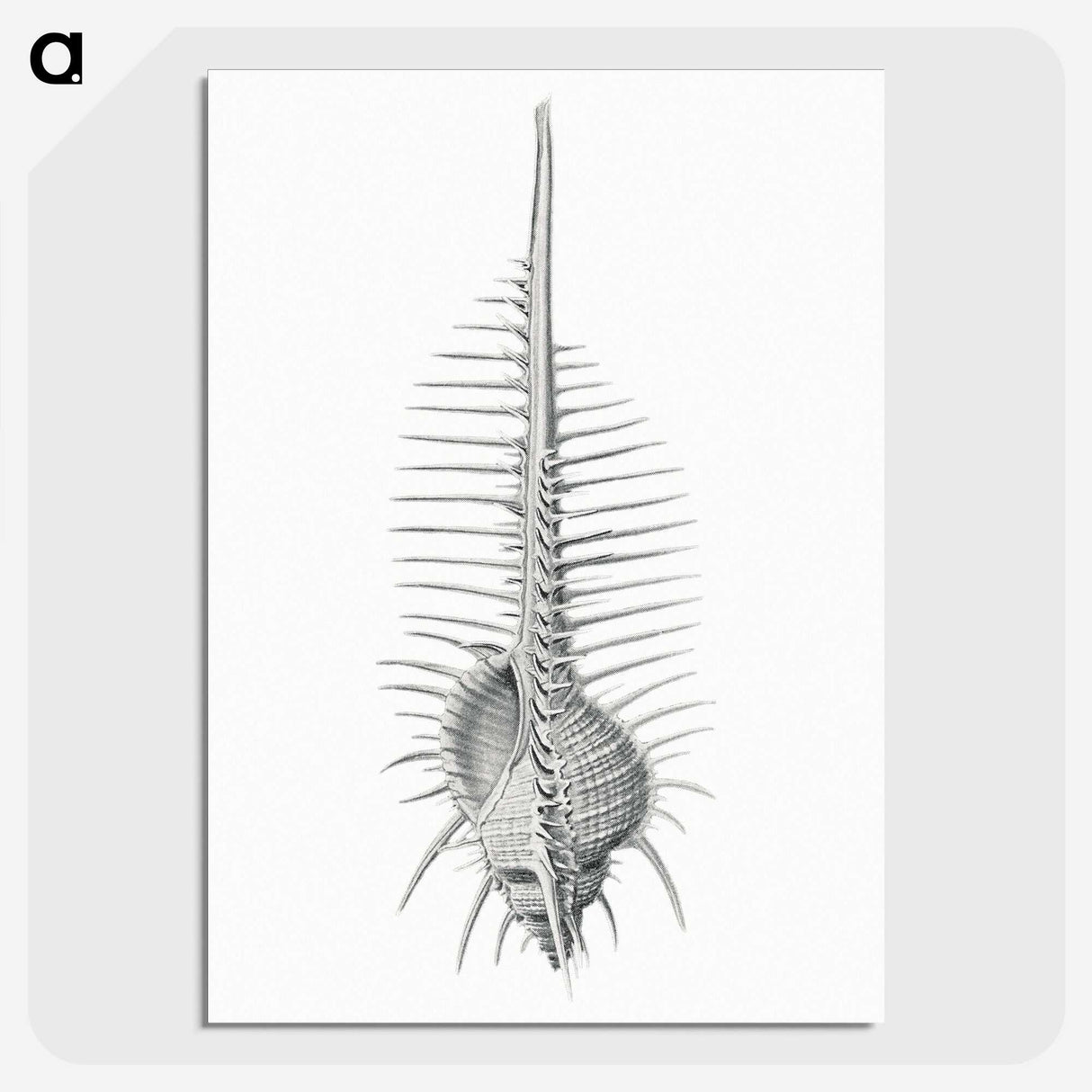 2-76_Ernst-Haeckel_picture-crop