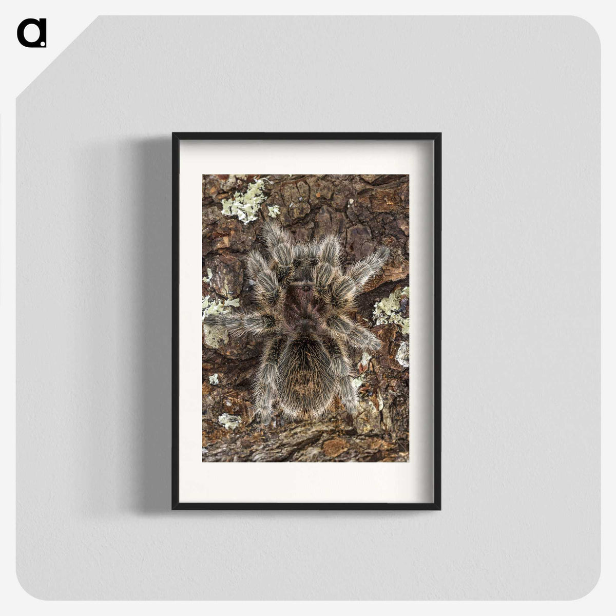 2-76_Insects-Unlocked-Project_blk