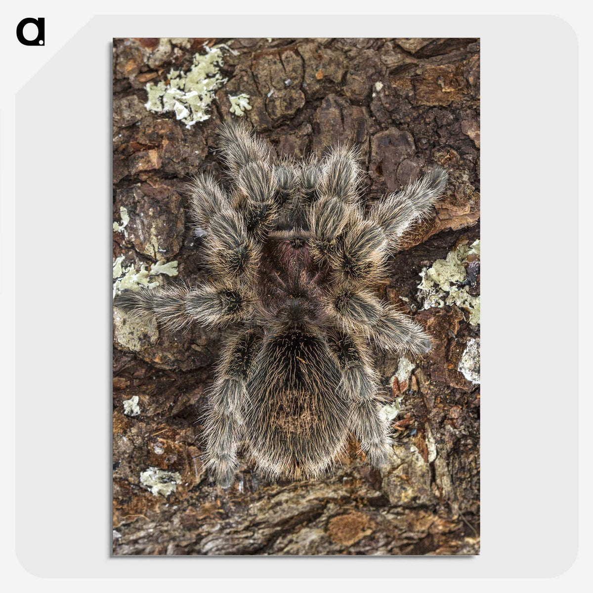 2-76_Insects-Unlocked-Project_picture-crop