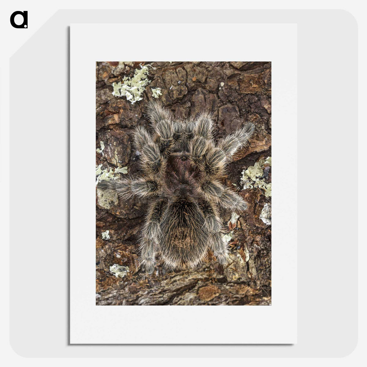 2-76_Insects-Unlocked-Project_picture