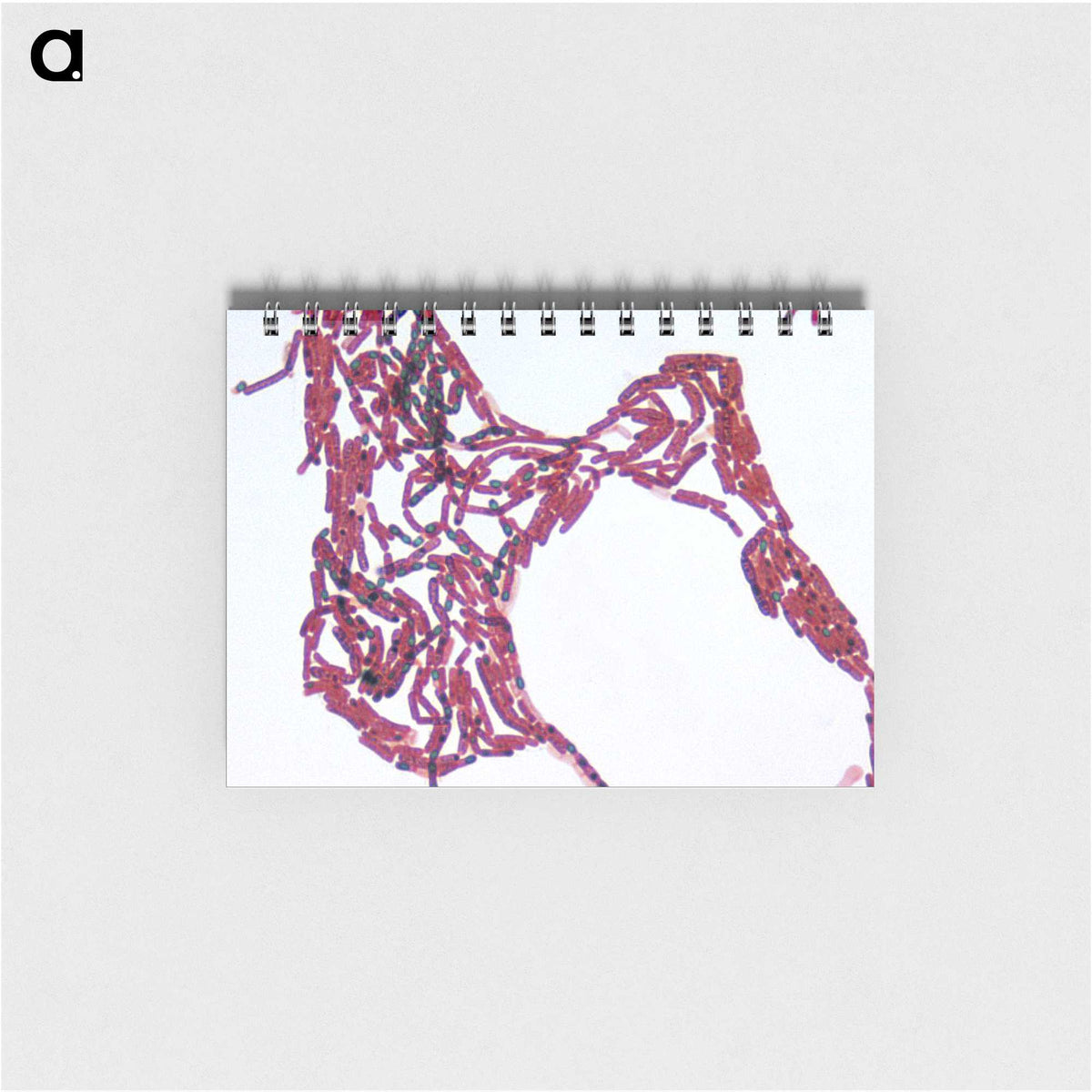2-77_COVID-19_memo