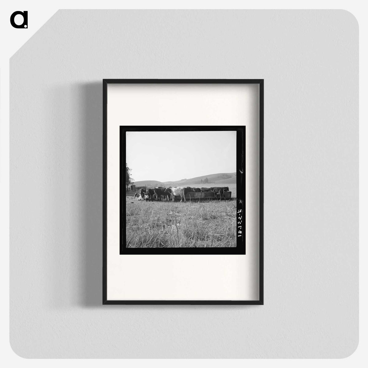 2-77_Dorothea-Lange_blk