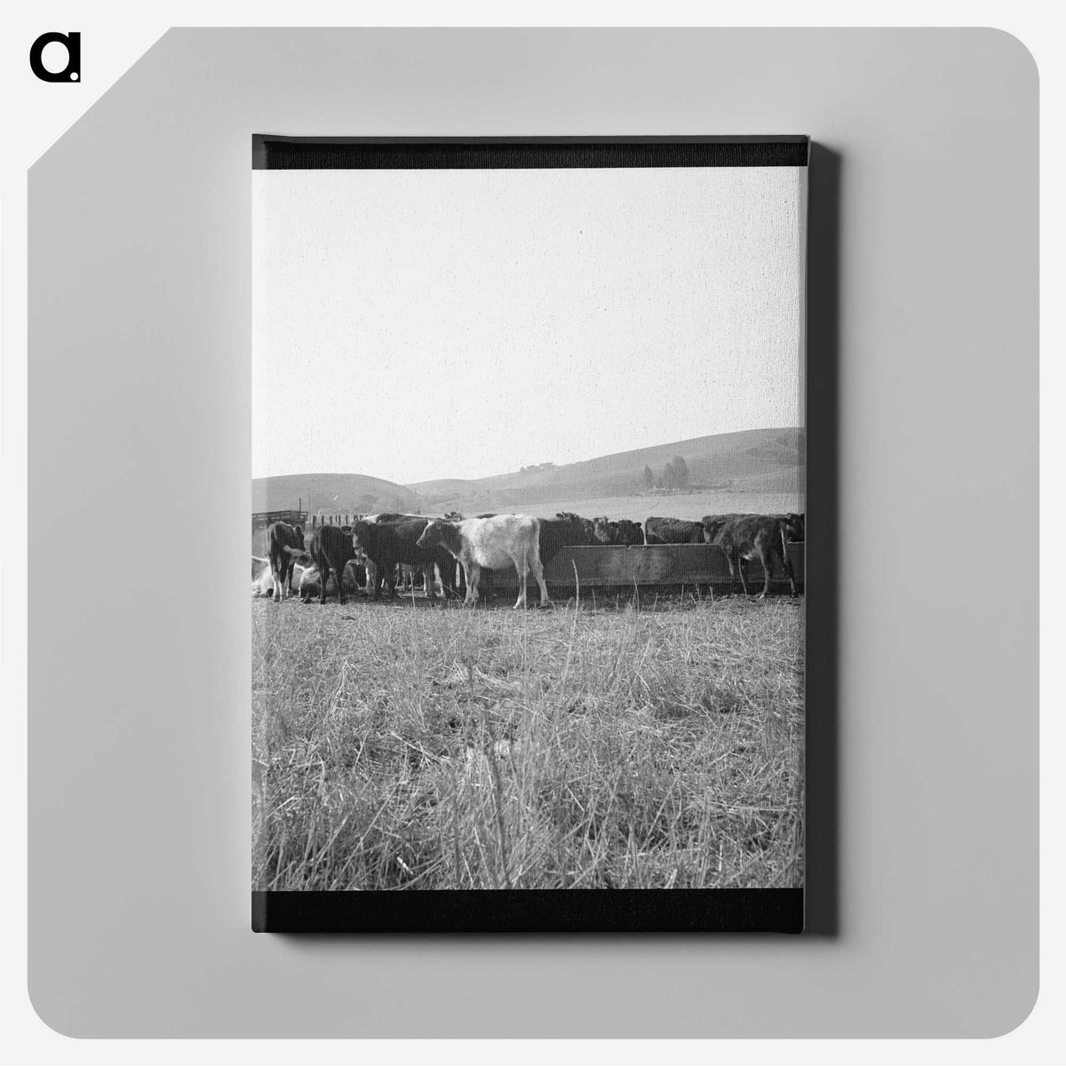 2-77_Dorothea-Lange_canvas