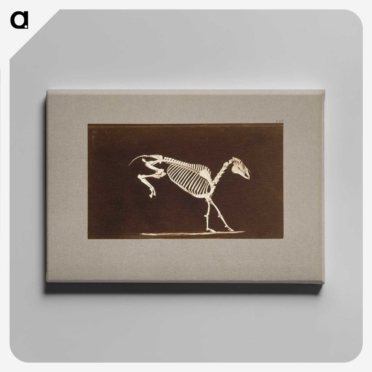 2-77_Eadweard-Muybridge_canvas