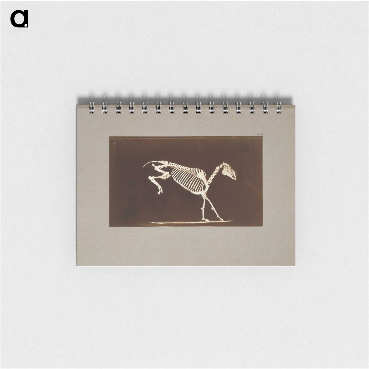 2-77_Eadweard-Muybridge_memo