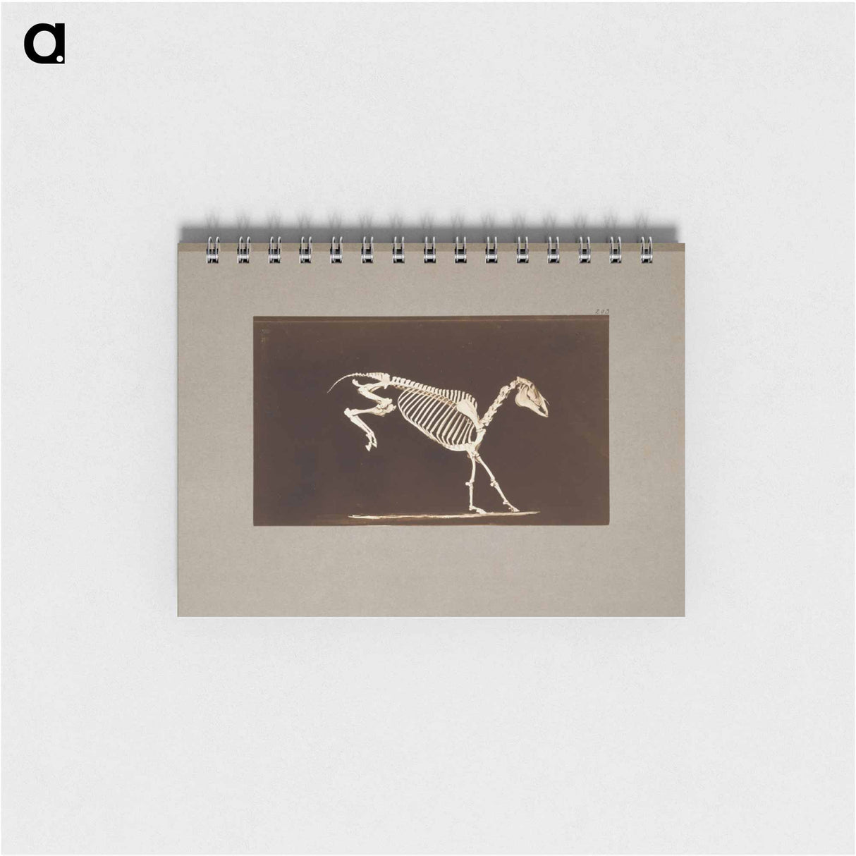 アートメモ帳-Leaping Horse Skeleton
- エドワード マイブリッジ Memo.
