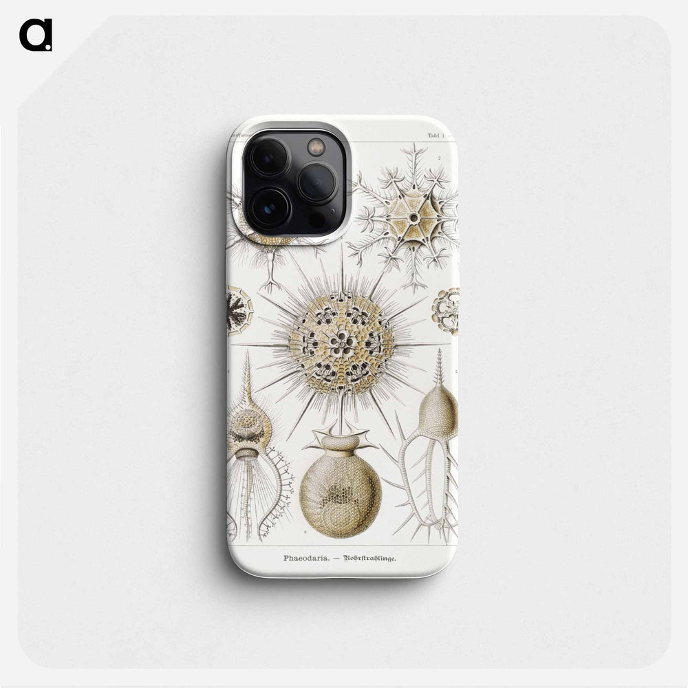 Phaeodaria–Rohrstrahlinge - エルンスト ヘッケル Phone Case.