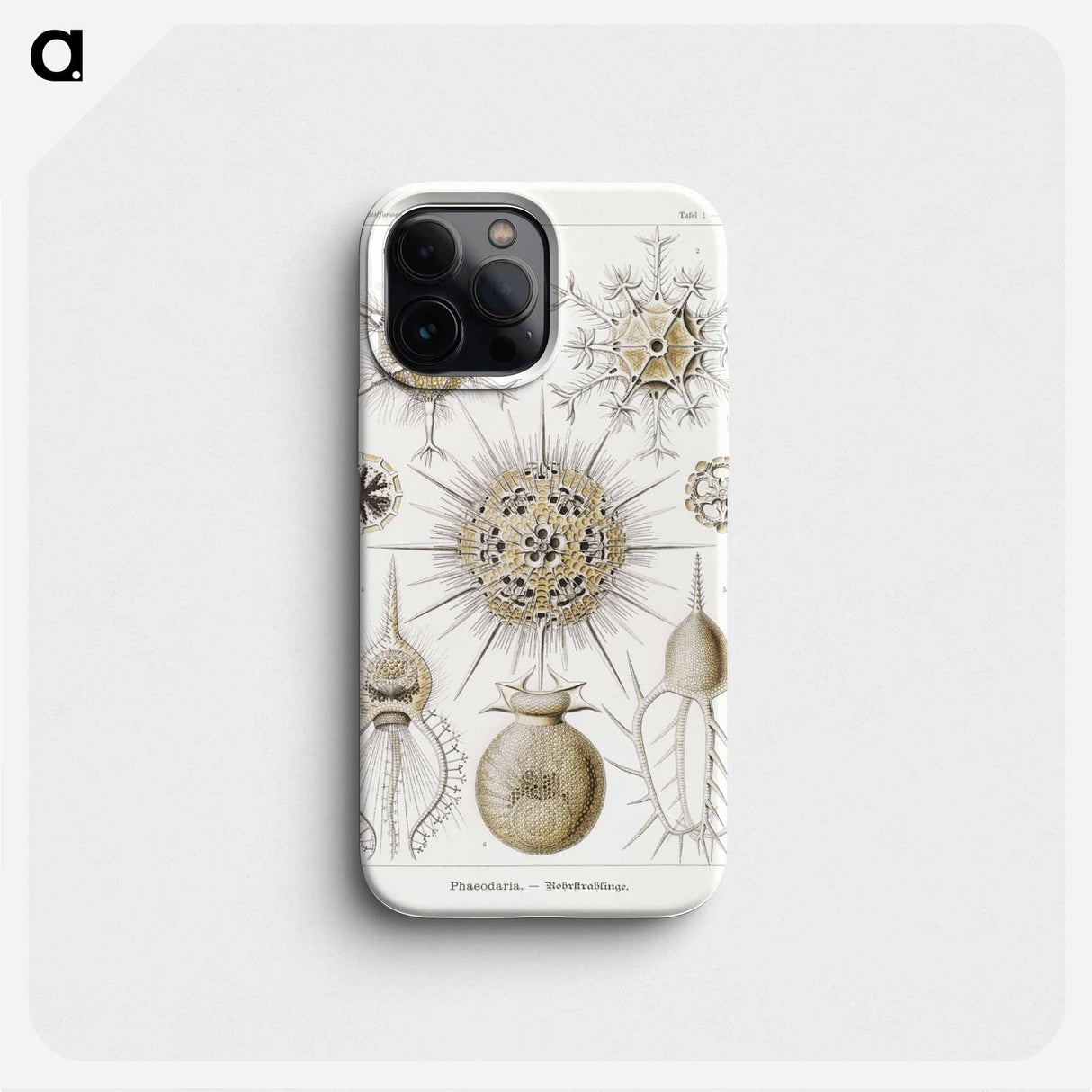 Phaeodaria–Rohrstrahlinge - エルンスト ヘッケル Phone Case.