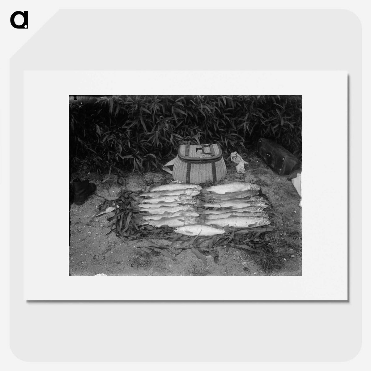 2-77_Frederick-Charles-Brockett_picture