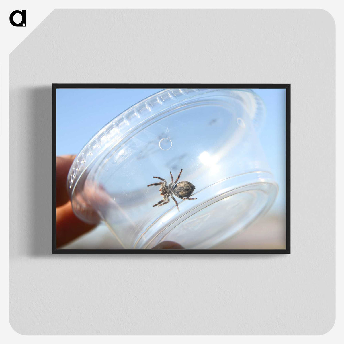2-77_Insects-Unlocked-Project_blk-crop